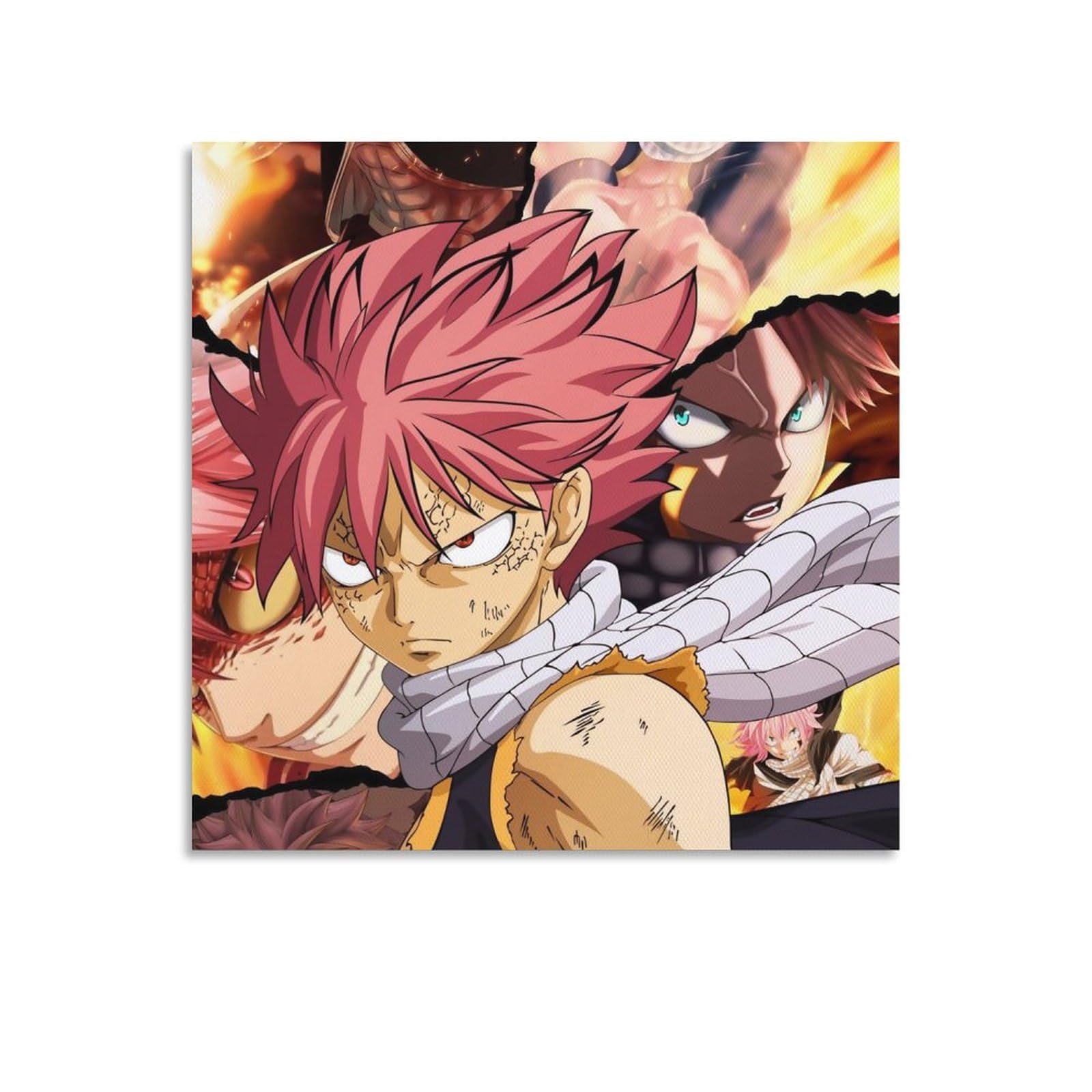 フェアリーテイル ナツドラグニル キャンバス