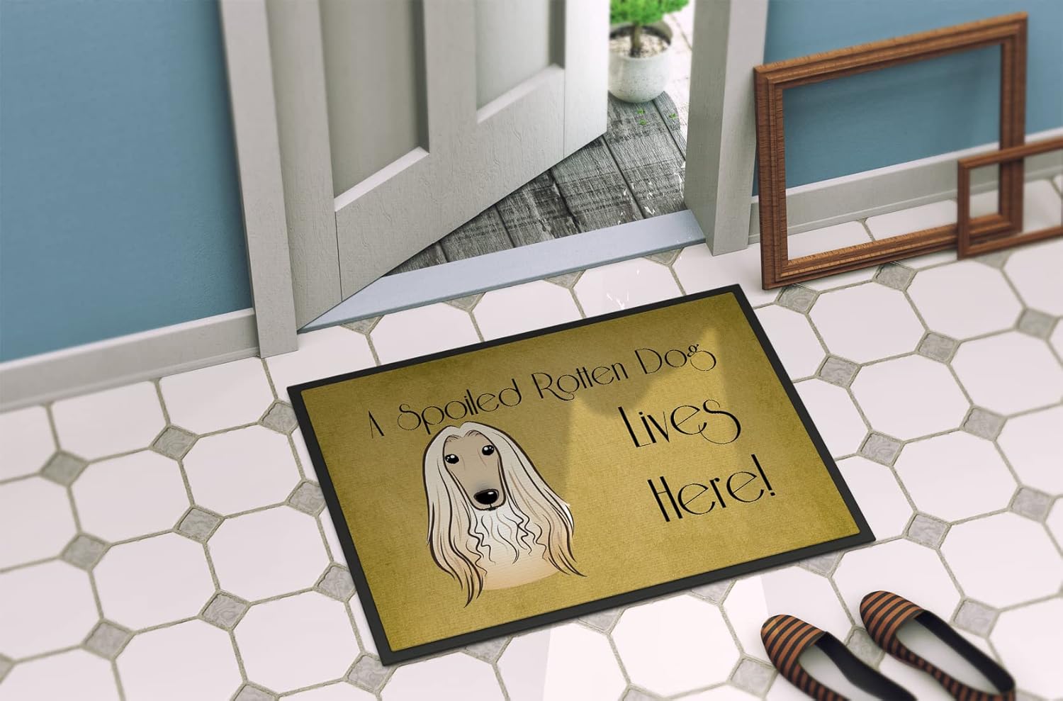 Caroline's Treasures BB1492MAT Afghan Hound Spoiled Dog Lives Here Doormat 18x27 Front Door Mat Indoor Outdoor Rugs for Entryway, Non Slip Washable Low Pile, 18H X 27W