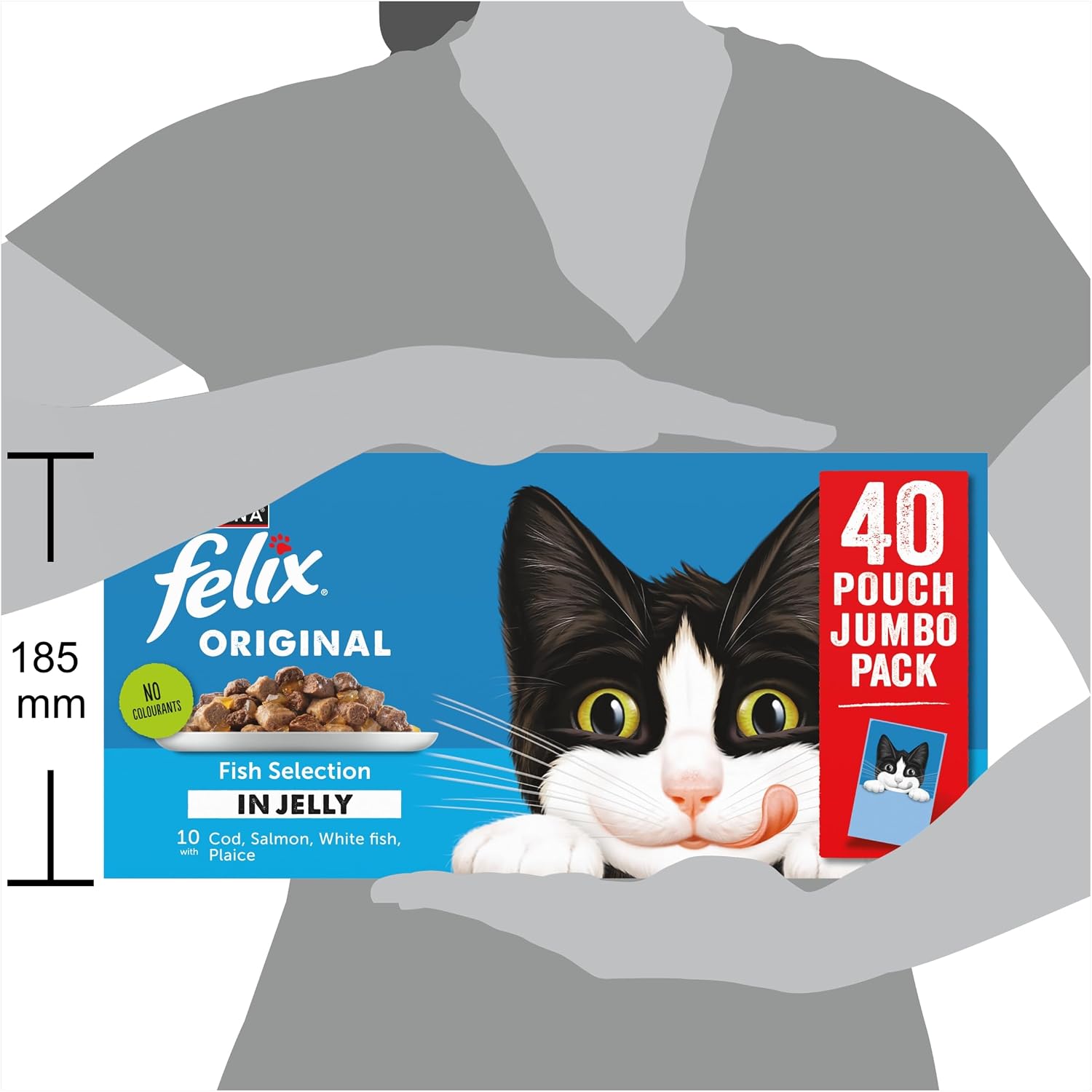 Vue 6