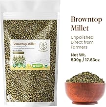 Shiva Organic Unpolished Millets | High Protein, Gluten Free | Low Calories, Low GI | Sourced organically (Browntop Millet, 500 g)