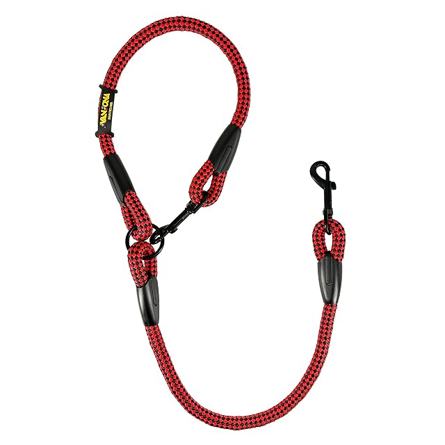 Foto 2 de 7 de Acoplador de Correa Doble para Dos Perros. Rojo&Negro, 55 cm
