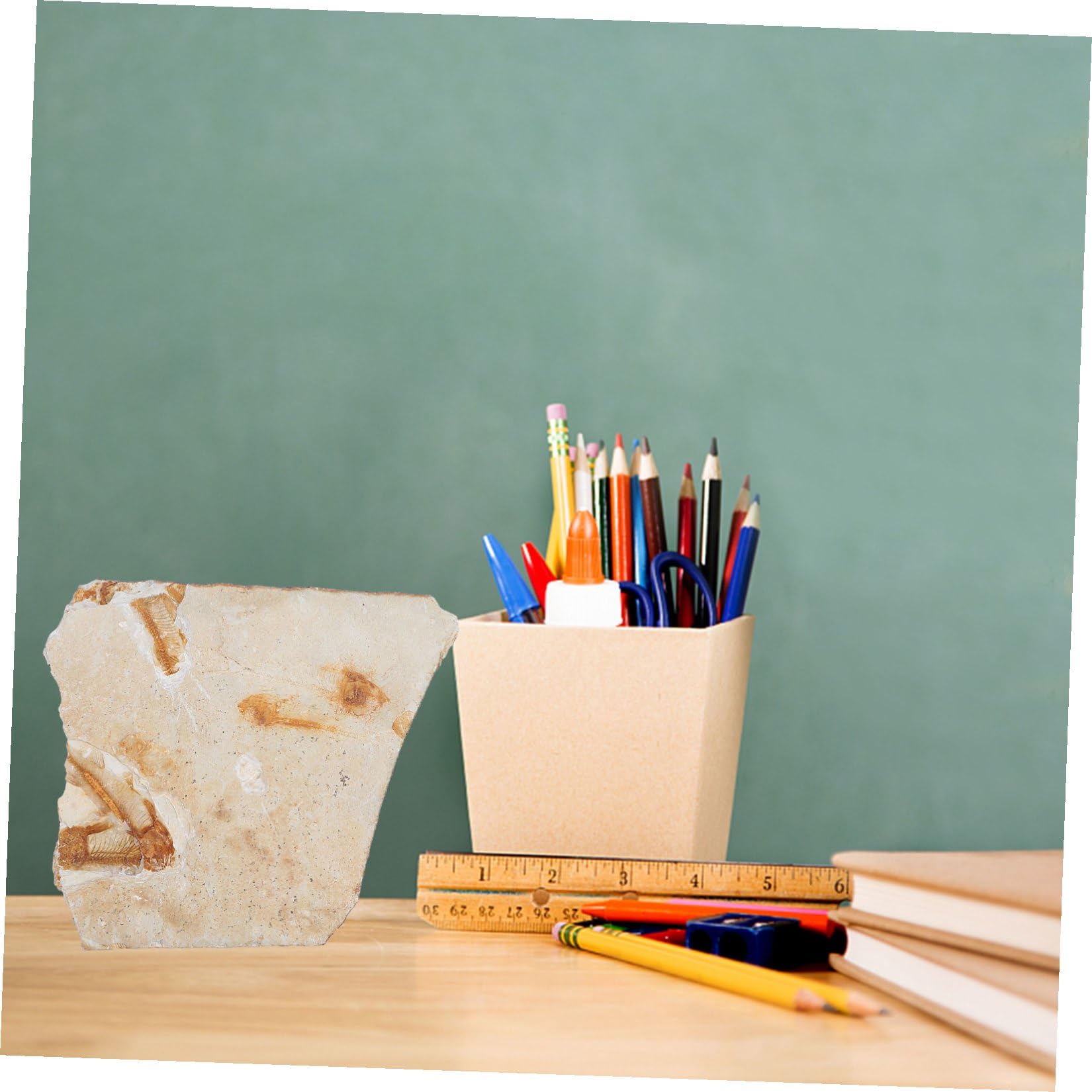 Cabilock Campione Fossile Pesce Resina per Laboratorio di Scienze e Ricerca Educativa, Decorazione da Scrivania per Studio e Materiale Didattico per Studenti, Dimensioni Stili multipli