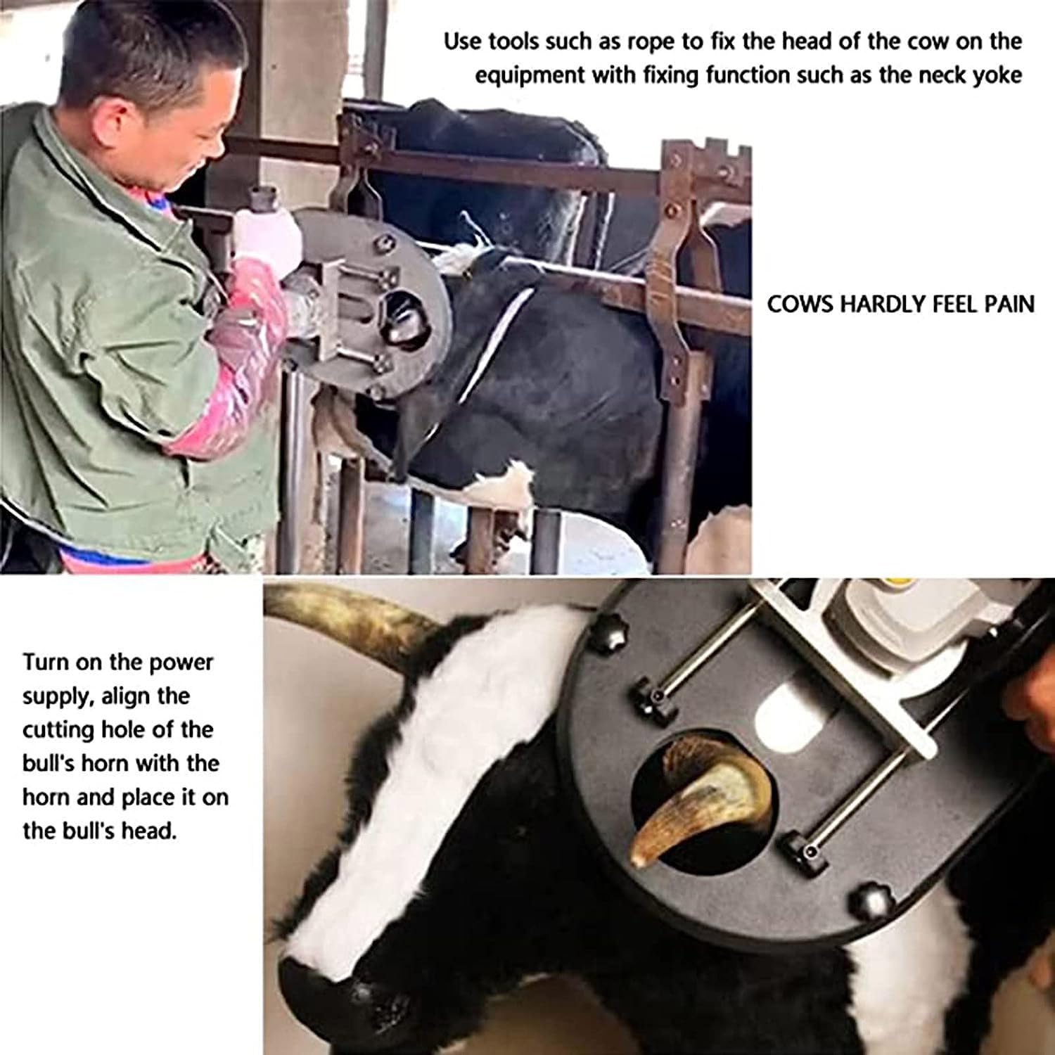 Écorneur électrique Pour Bovins, Moutons, 1700 W, Haute Puissance, Résistance Aux Hautes Températures, Outil De Coupe Pour Vétérinaire, Ferme, élevage