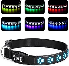 Brifit Rechargeable LED Dog Collar Luminous Waterproof Silicone Material Easy to Adjust Dog Collar with 7 Colour Changes for Small Medium Dogs S 30 cm - 40 cm