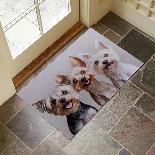 Miniatura 9 de Tapete de interior con patrón de calavera gótica para entrada, 17 x 29.5 pulgadas, tapete de calavera oscura para decoración del hogar, tapete