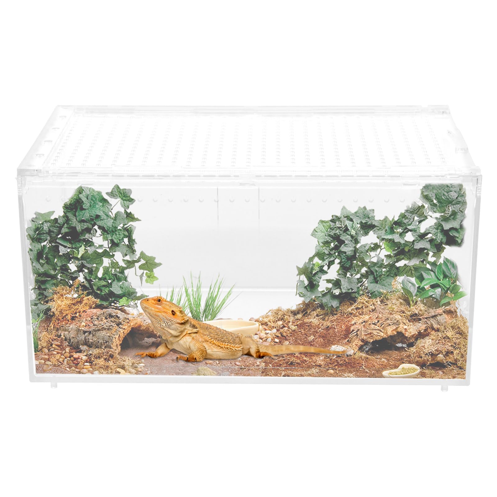 Foppla Large Reptile Terrarium 30x20x15cm, Transparent Acrylic Habitat Breeding Feeding Tank with Ventilation & Escape-Proof Design for Reptiles Such As Snakes, Lizards, Spiders, Frogs, etc.