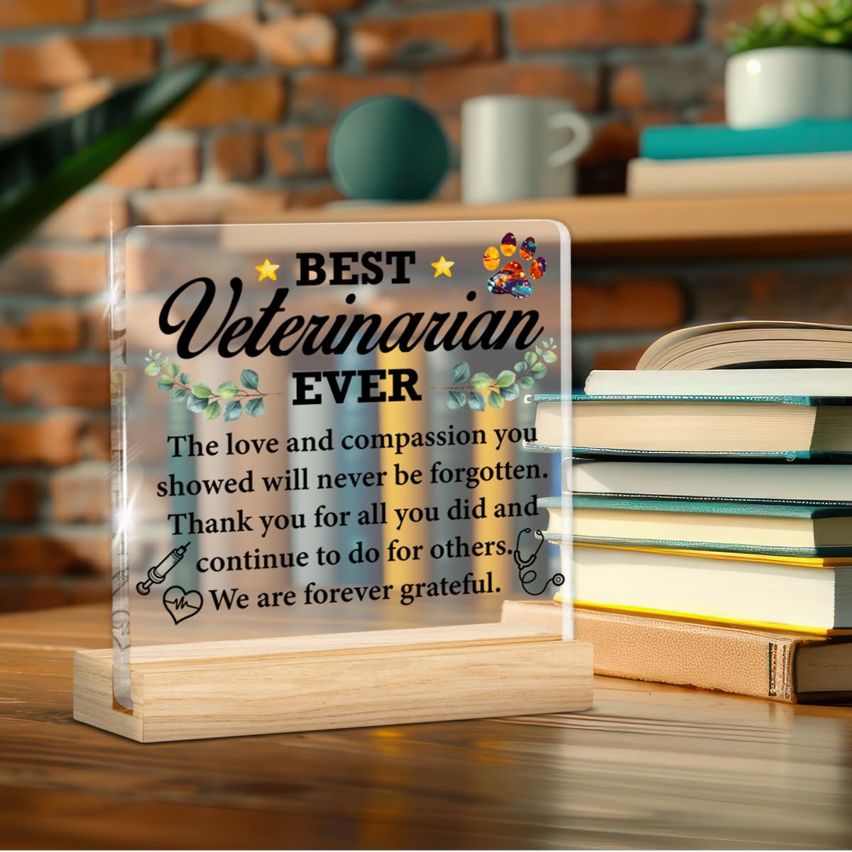 Best Veterinarian Gifts for Women Men, Thank You Gift for Veterinarians Veterinary Vet Tech Animal Doctor, Best Veterinarian Ever Gifts Acrylic Plaque Sign Decor