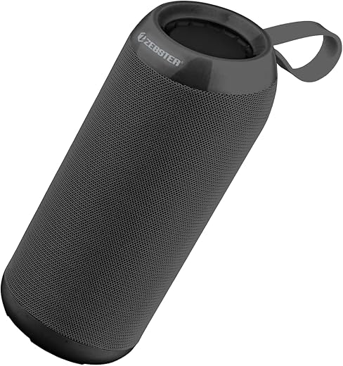 ZEBSTER Drum 2 Portable Bluetooth Speaker with 8W Output, Bluetooth 5.0, USB, SD, FM Radio, TWS Function and Call Function(Black)