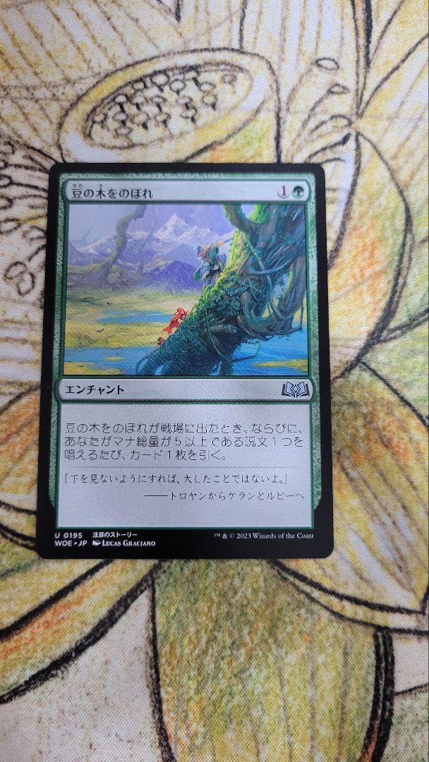 Amazon.co.jp: MTG探するドルイド豆の木をのぼれ N0MM : おもちゃ