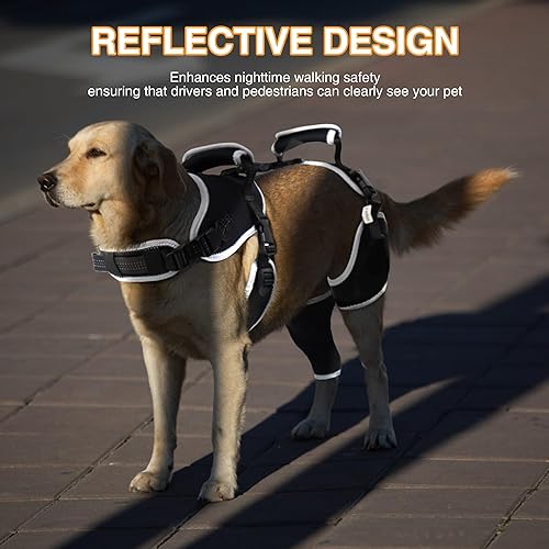 Miniatura 22 de Rodillera para perro para pierna trasera desgarrada ACL/CCL, soporte ajustable con suficiente envoltura y soporte y rótula luxante, soporte