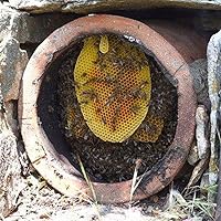 Vista 2 de Ikaria Miel griega de tomillo griego, cruda, sin calentar, sin filtrar y sin pasteurizar de Grecia con propiedades adaptogénicas, sin azúcar