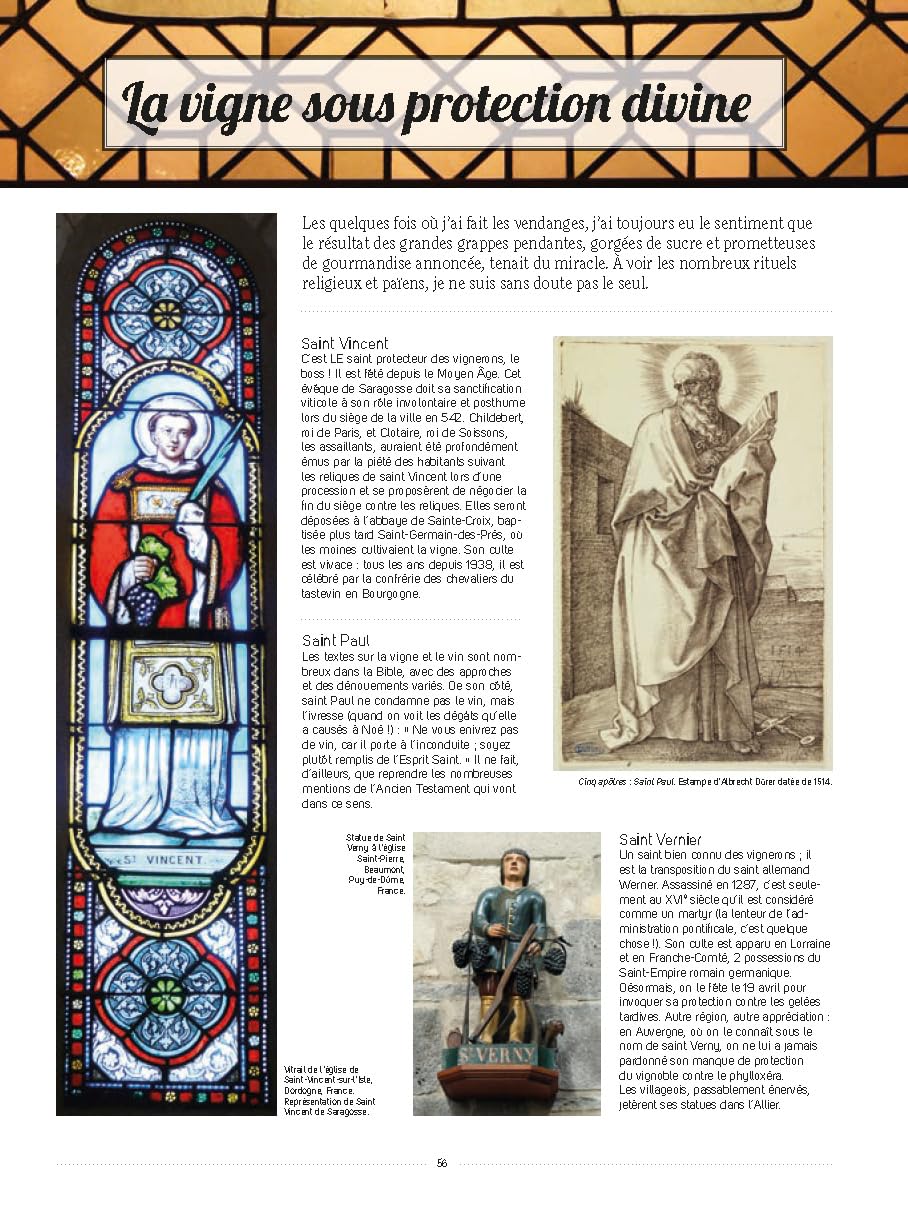 Vignes et raisins: Tous les savoirs, toutes les histoires, tous les pouvoirs, tous les espoirs…