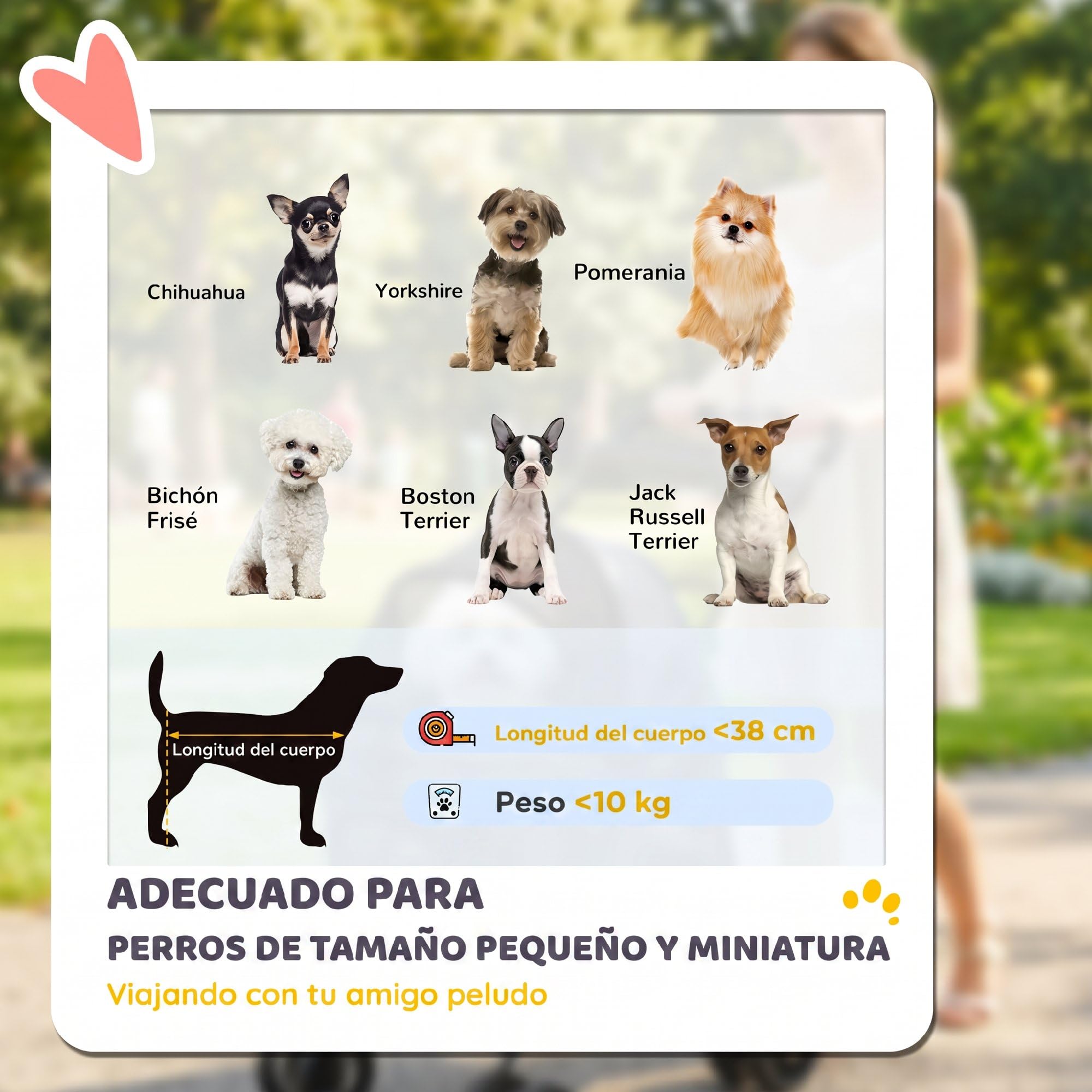 PawHut Cochecito para Perros Plegable 4 Ruedas de EVA 10 kg Ligero Gris | Carrito para Perros Pequeños y Gatos, Giratorio y Freno, Ventanas de Malla, Cojín Extraíble, Bandeja y Portavasos