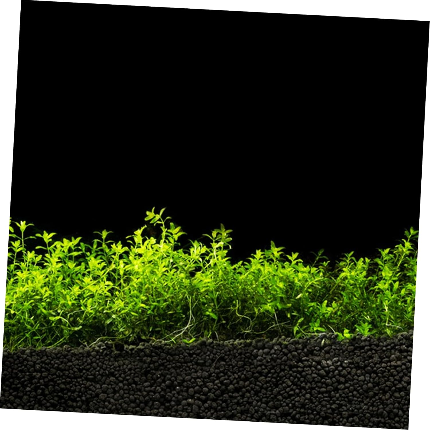 Self Adhesive Fish Tank Background Roll Aquarium Wallpaper for Underwater Scenery Durable PVC Decor Easy Install Fits Various Long High