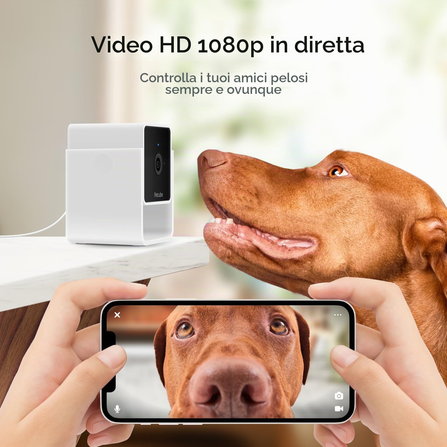 Petcube Cam – Telecamera di sicurezza Wi-Fi per animali domestici con app per telefono — immagine 2 di 11