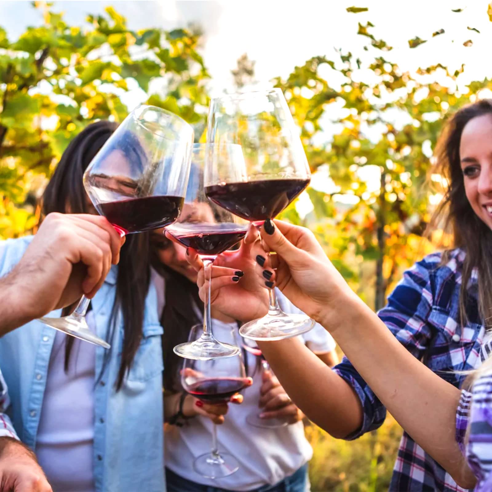 Set di 4 bicchieri da vino grandi in plastica da 580 ml infrangibili, riutilizzabili, in policarbonato, trasparente, per feste, campeggio, picnic, vasche idromassaggio, piscine