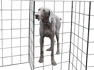 dry dog barriers