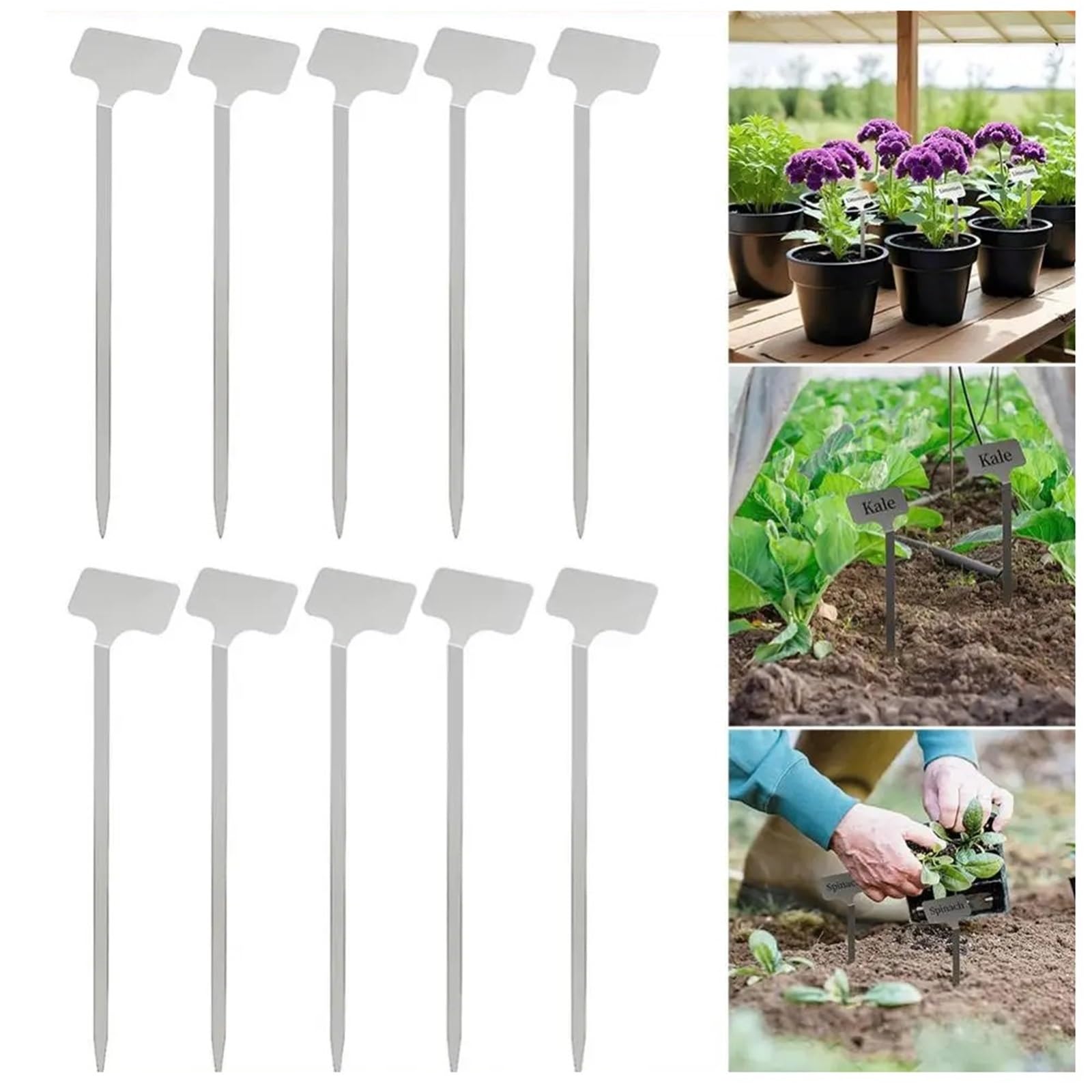 Pflanzenschilder 10 Stück Garten-Etikett-Marker, wetterfeste Pfahl-Tags, wiederverwendbar, for Pflanzen, Gemüse, Sämlinge, Blumen