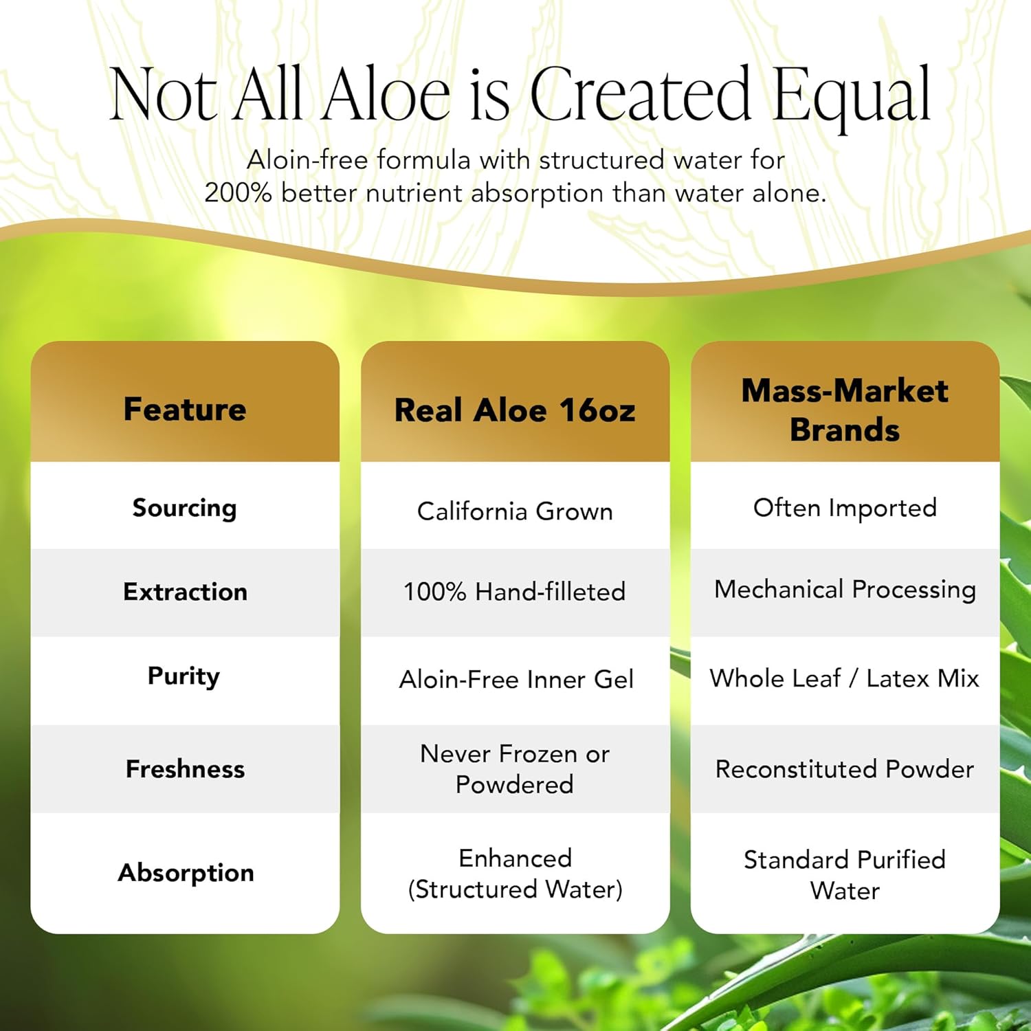 Real Aloe Aloe Vera Lotion (16 fl oz) | Organic Aloe for Face, Body & Hands | Lightweight, Fast-Absorbing Moisturizer | Non-Greasy Hydration for Dry & Sensitive Skin | Made in USA