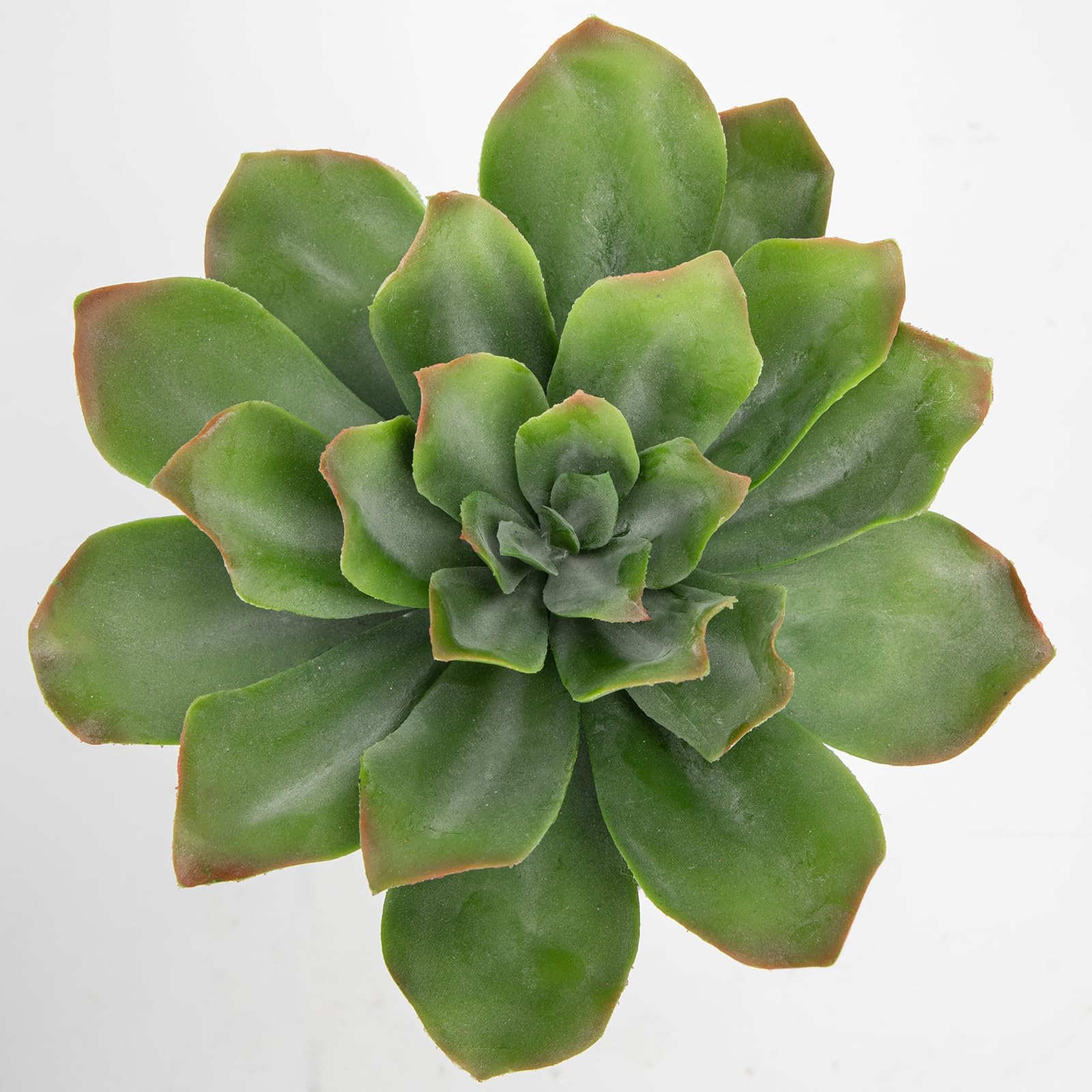 Hollyone Fake Succulents in Black Bubble Pot, 8.6'' Frosted Artificial Echeveria - Image 3