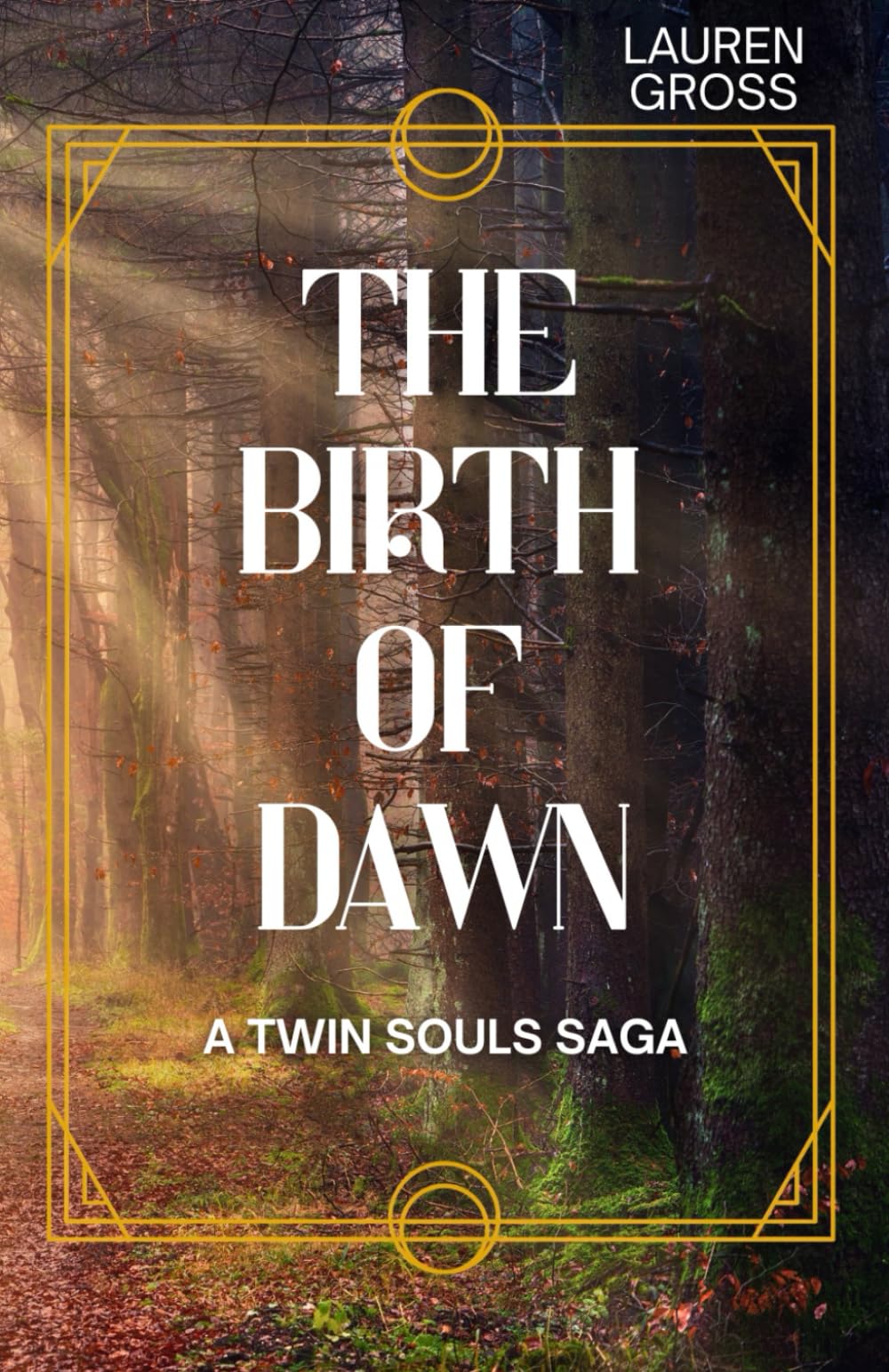 The Birth of Dawn: A Twin Souls Saga