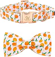 Vista 13 de Collar para perro Elegant Little Tail con moño, estampado de pepinillos, collar de moño lindo para perros pequeños