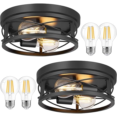 Feanron Farmhouse 2-Light Black Flush Mount Ceiling Light Fixtures, Industrial Vintage Metal Cage Closed to Ceiling Mount Lamp for Hallway Kitchen Bedroom 2 Pack, A19 LED Bulbs Included