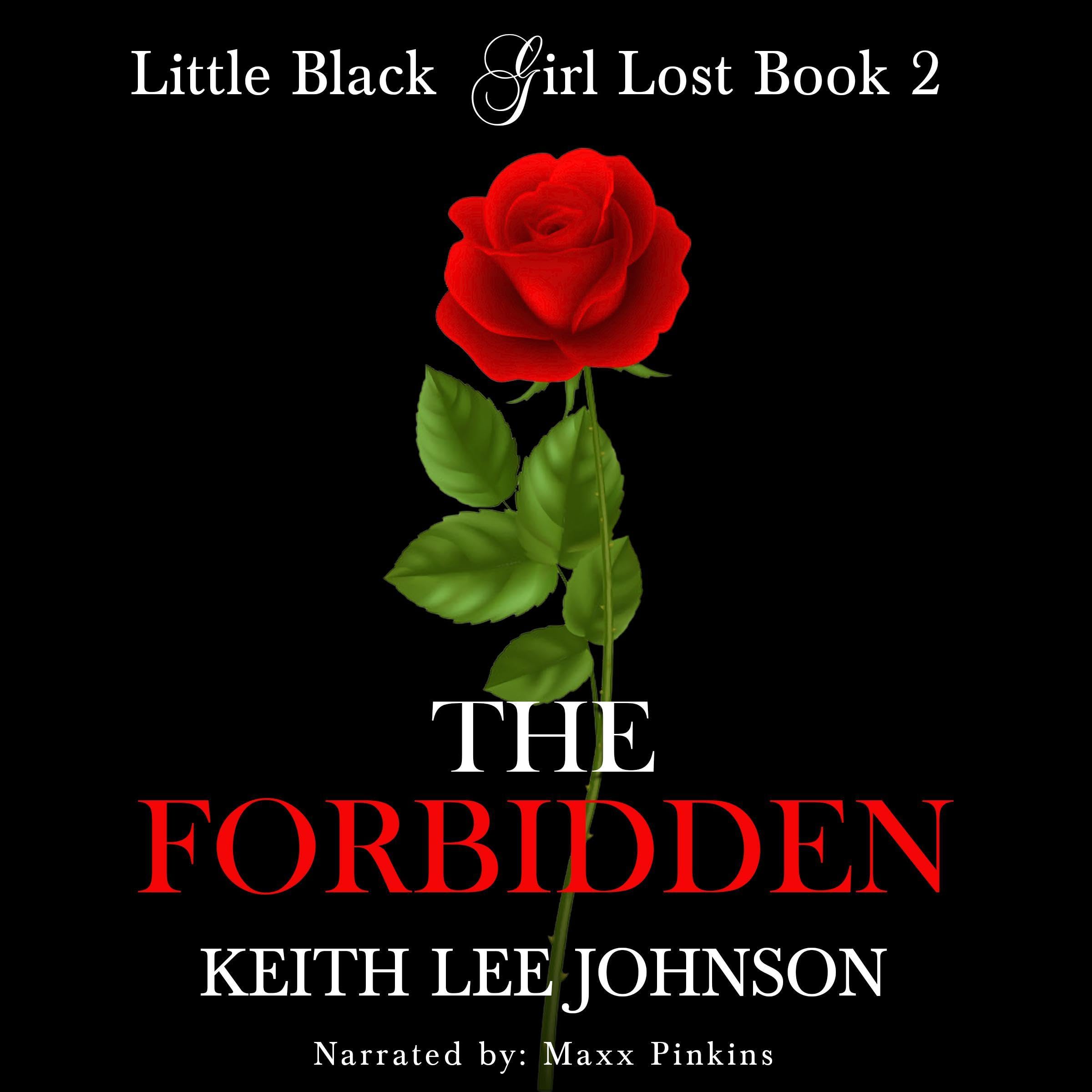 Little Black Girl Lost, Book 2: The Forbidden
