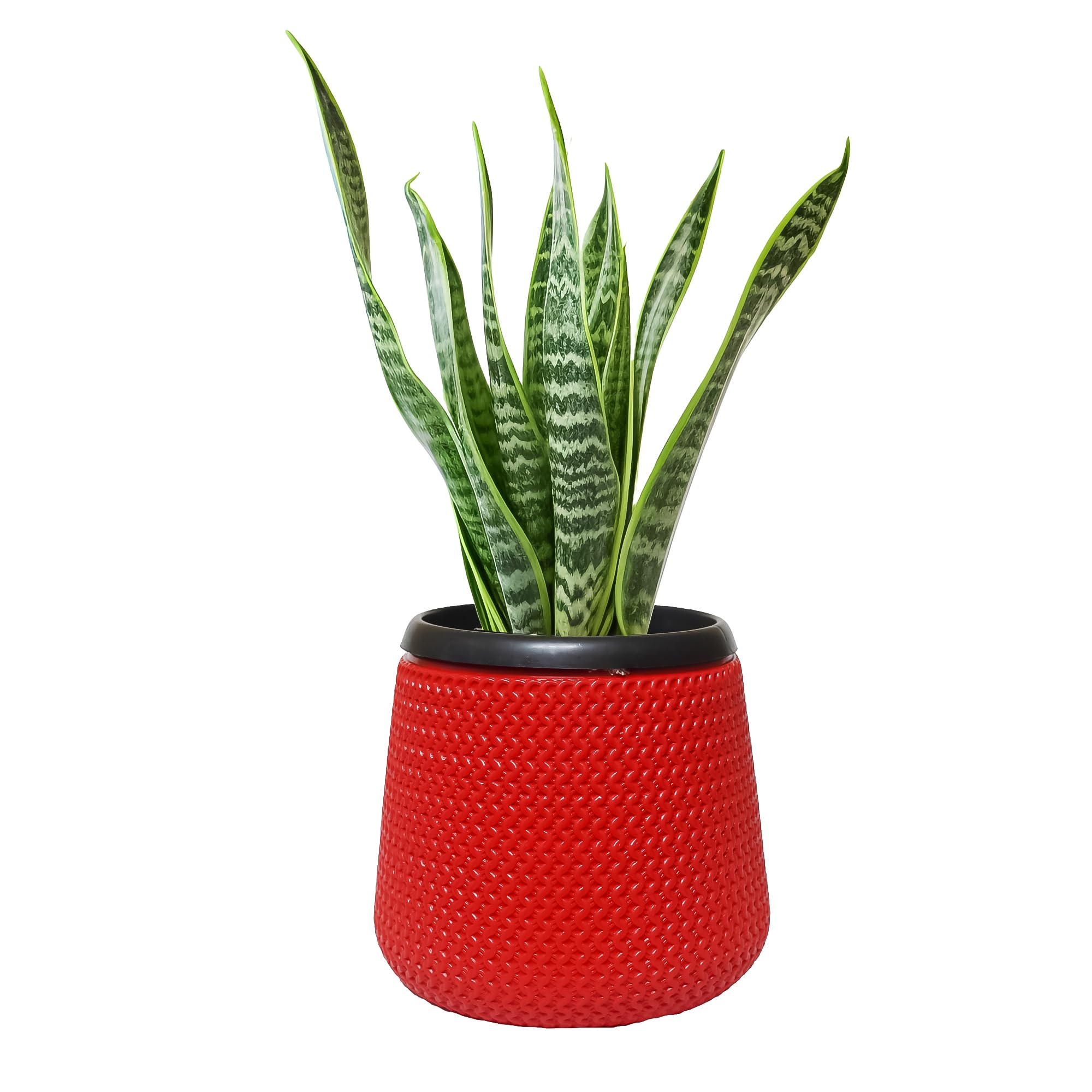 See full amazon price history chart for Green Garden Needs 10 Inch Self-Watering Pots for Indoor & Outdoor Plants,Best Flower Pots & Planters for Home Decor,Living Room,Kitchen,Bedroom,Table Top,Office,Gifting, Size-10 Inch, Colour- Red Green Garden Needs 10 Inch Self-Watering Pots for Indoor & Outdoor Plants,Best Flower Pots & Planters for Home Decor,Living Room,Kitchen,Bedroom,Table Top,Office,Gifting, Size-10 Inch, Colour- Red (B0DHLMZYMP) Amazon Price History, Amazon Price Tracker