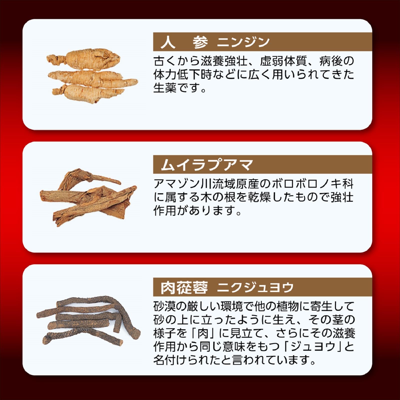 Amazon | 【指定医薬部外品】ゼナF0攻力液 50mL×3本パック | ゼナ | 強壮剤