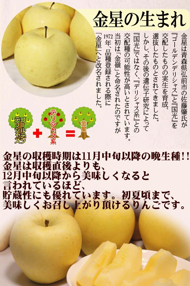 Amazon.co.jp: 青森 りんご 5kg箱 金星 ご家庭用/訳あり 青森県産 5
