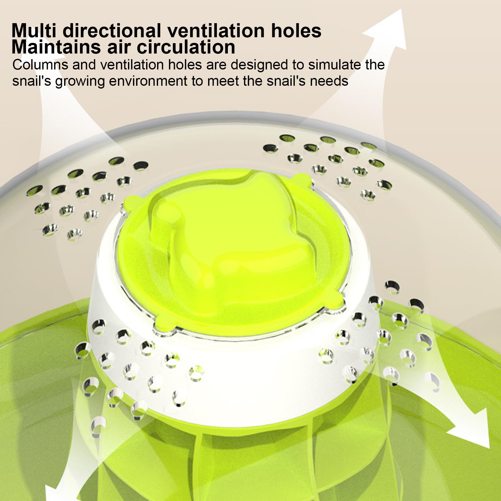 Boîte d'Observation d'Escargots Transparente, Matériel Pédagogique Scientifique pour Enfants, Conception Innovante, Cadeau Éducatif