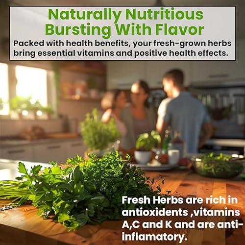 Miniatura 4 de NatureZ Edge Paquete variado de 15 semillas de hierbas, más de 6000 semillas de reliquia para plantar hidropónicas en interiores o exteriores,