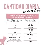 Ver la foto 6