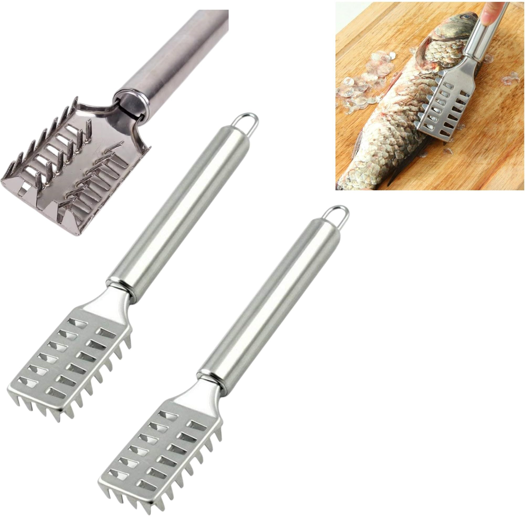 THW® Fish Scaler/Fish Scale Remover/Fish Scale Scraper/Fish Cleaning Tool Pack of 2 Pieces
