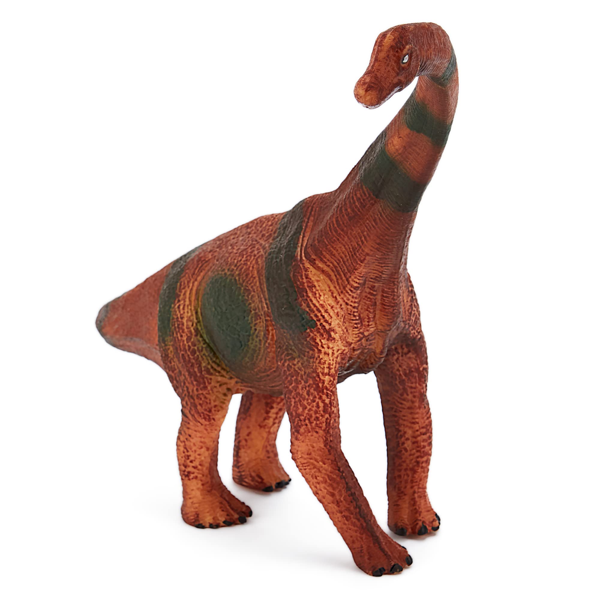 Zappi CoChildrens Brachiosaurus Dinosaur Figure Toy (26cm Length) - Realistic Detailed Dino Collection for Kids - Action Figures for Playtime Fun & Learning