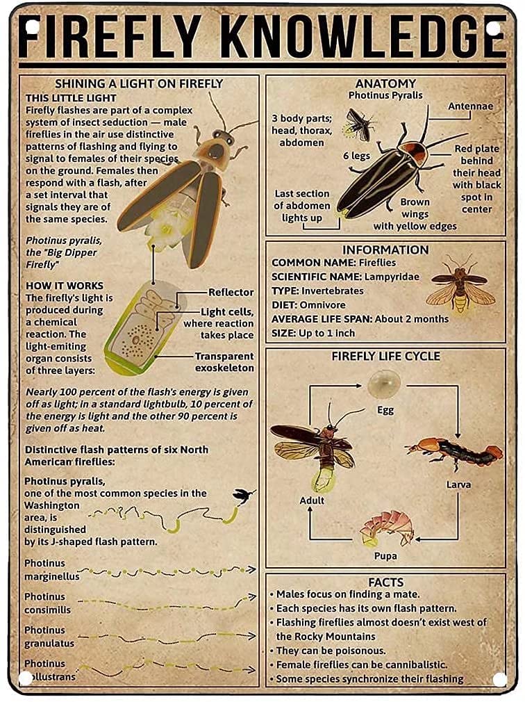 firefly Knowledge Metal Signs, Fun Poster For Bar Kitchen Cafe Farmhouse Wall Decor 8x12inch