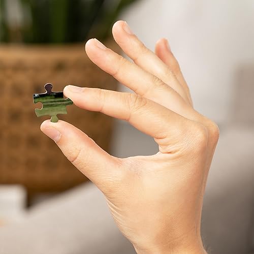 Miniatura 6 de Lantern Press 1000 Piece Jigsaw Puzzle, Dry Tortugas National Park, Florida, Sunset and Cannon