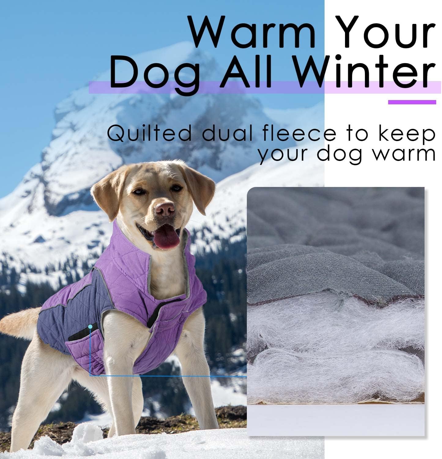 ThinkPet Dog Cold Weather Coats - Cozy Waterproof Windproof Reversible Winter Dog Jacket, Thick Padded Warm Coat Reflective Vest Clothes for Puppy Small Medium Large Dogs
