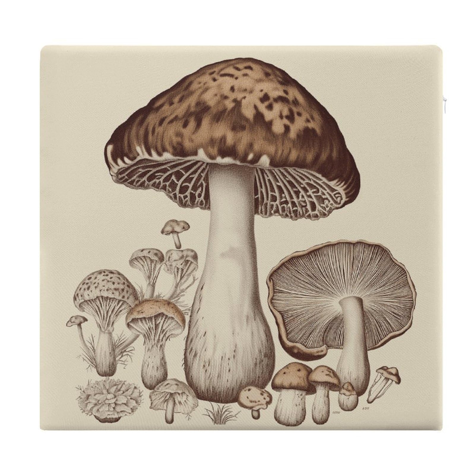 LDGSUPH - Classic Mushroom Drawing Seat Cushions for Office Chair Square Cushions Soft Floor Cushions Comfortable Sofa Cushions Memory Foam Pads