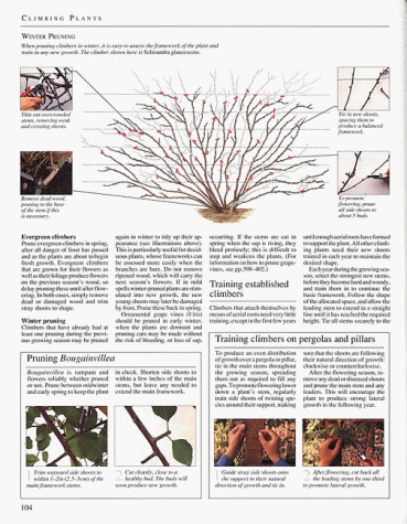 American Horticultural Society Encyclopedia Of Gardening #TOP3