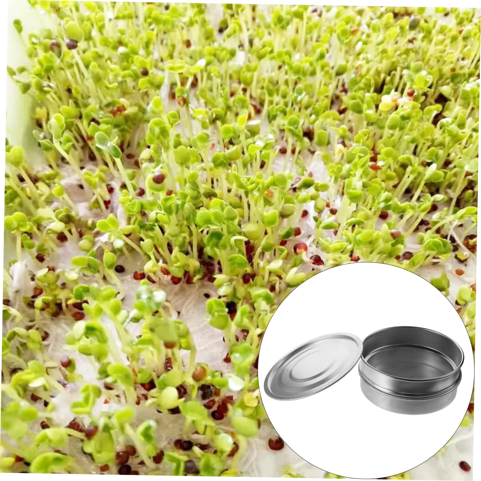 VANZACK Edelstahl Keimschale 20cm Standard Sieb 1 Satz Silber | Eisen und Zinkanteile, Kochbar, Hält Kleines Sicher Zurück, für Garten und Zuhause