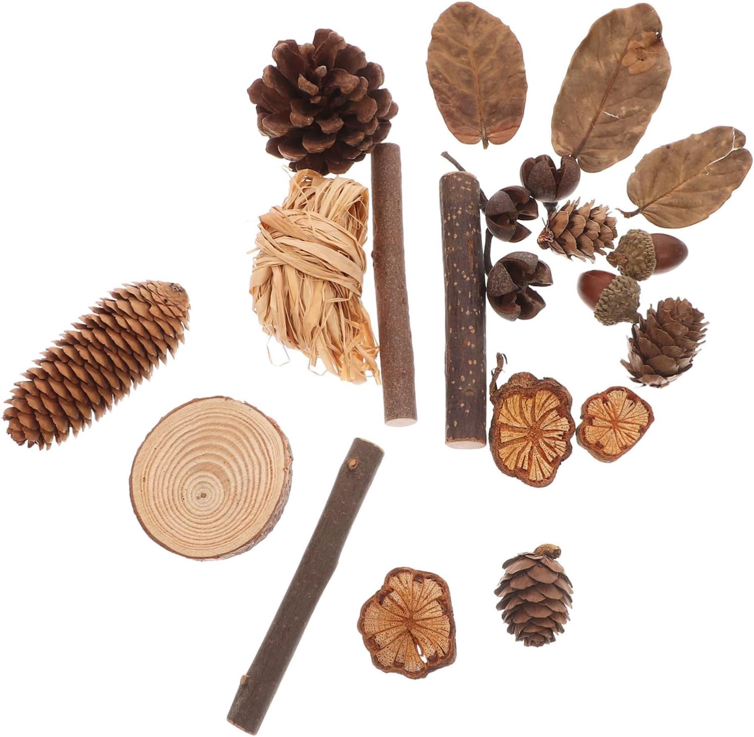 Rustic Wood Branches Pine Cones DIY Craft Fall Decor Natural Ornaments for Thanksgiving Table Centerpieces Photo Booth Props Safe Sturdy Dried Flower Kit