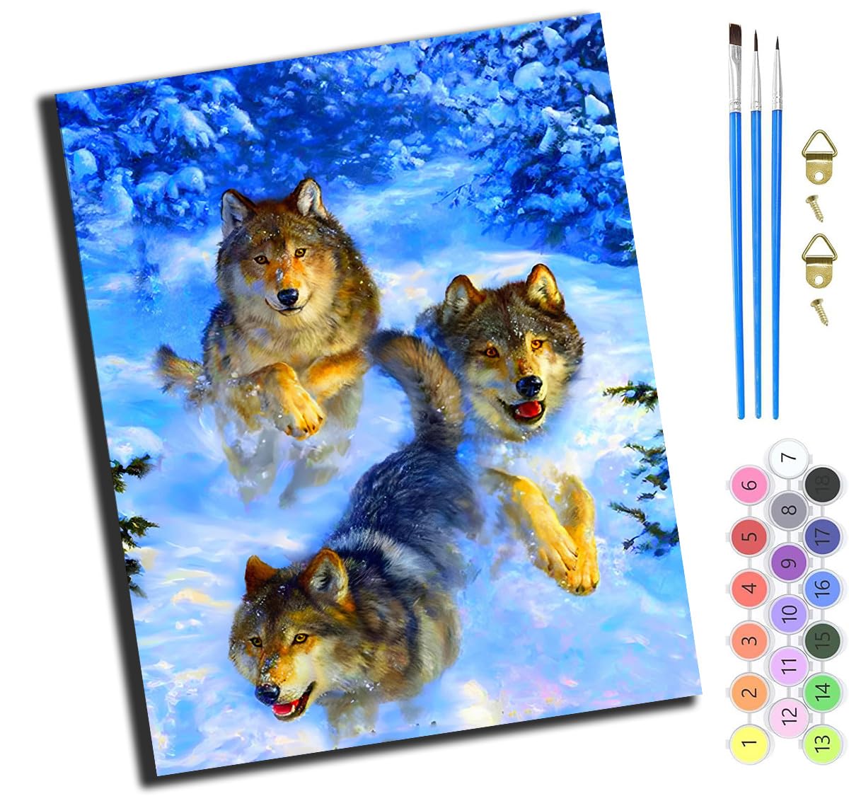 XIAOYOUQIAN Three Snow Wolves On Ice,Paint by Numbers for Adults,Painting by Number Kits On Canvas,DIY Color Oil Painting,Home Wall Decor 16X20In/40X50Cm,-Frameless