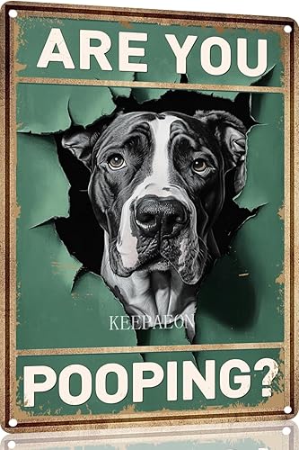 Miniatura 12 de Letrero de hojalata divertido con texto en inglés "Saint Bernard Dog Are You Pooping" para decoración de pared de baño, inodoro, 12 x 8 pulgadas
