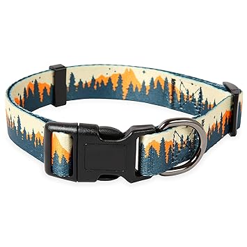 Timos Floral Print Puppy Dog Collar for Small Medium Large Dogs Collars with Safety Locking Buckle for Girls Female Dog