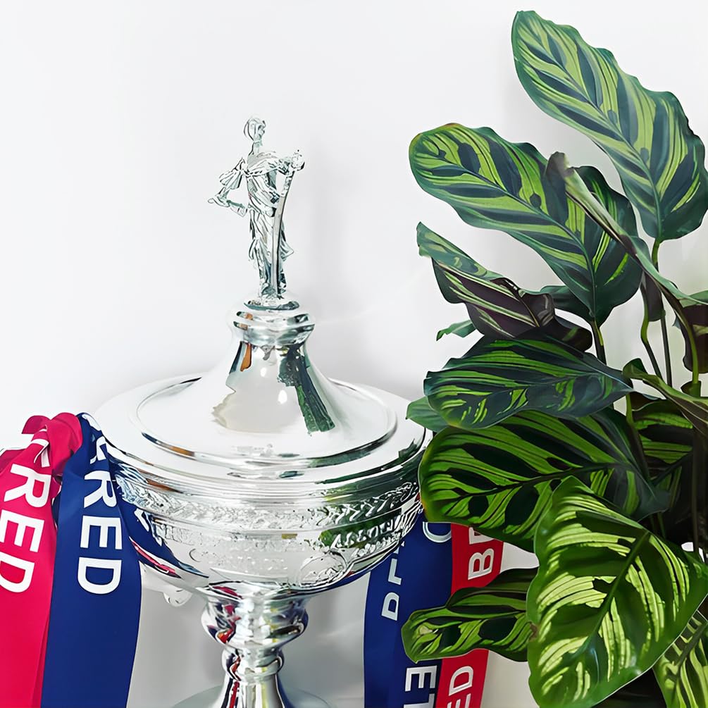 Snooker Meister Trophäe Kunstharz Galvanisch Versilbert Billard Meisterschaft Trophäen Sportfans Sammlerstücke Snooker Club Büro Heimdekoration Ausstellungsornamente