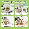 Product Photo 7