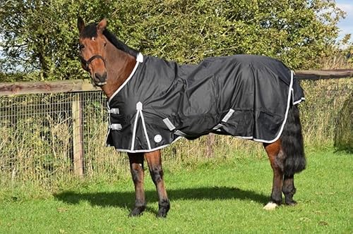 Horse 600d Lightweight Waterproof Horse Turnout Rug 100g Fill Standard Neck (BLACK/GREY, 6'3'')