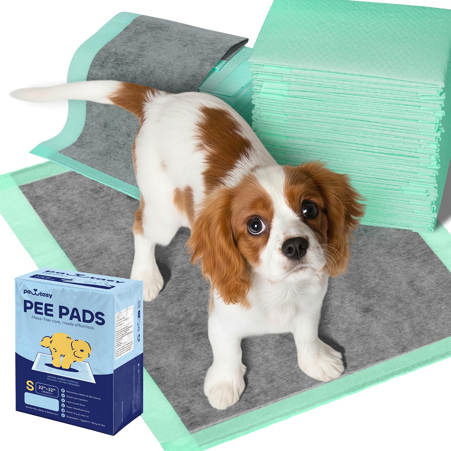 Pawtasy PIPI Matten für Hunde mit Aktivkohle gegen Gerüche Welpen Unterlagen Einweg Puppy Pads Auslaufsicher & Saugstark Trainingspads Weich & Hautfreundlich 56 x 56 cm (100 Stück)